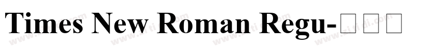 Times New Roman Regu字体转换